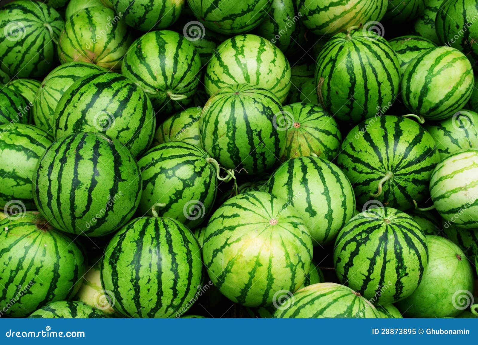 Watermelon