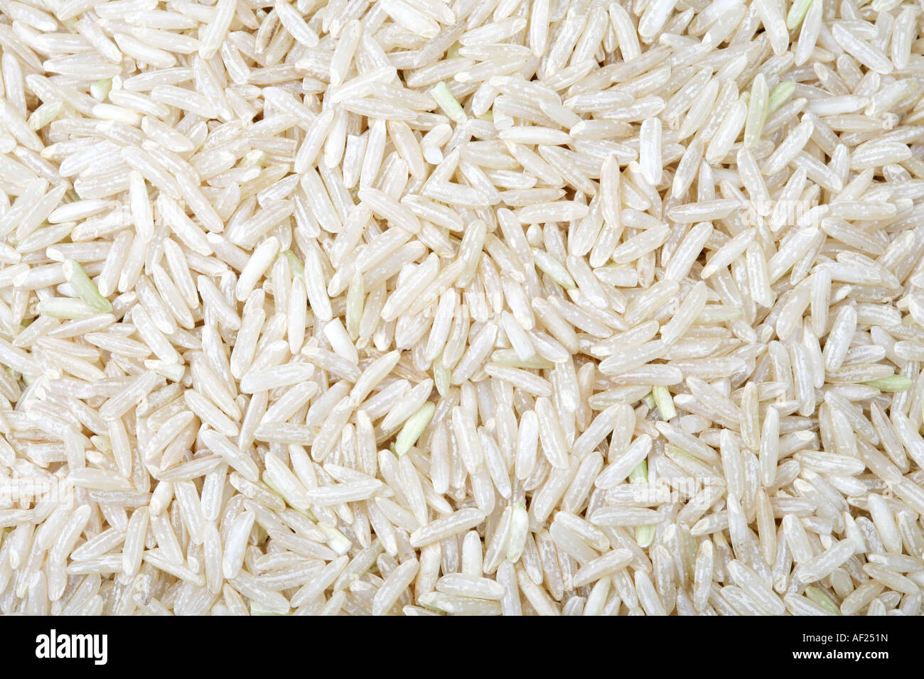 White Rice